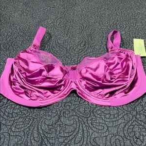 Goddess bra in petunia NWT 36K
